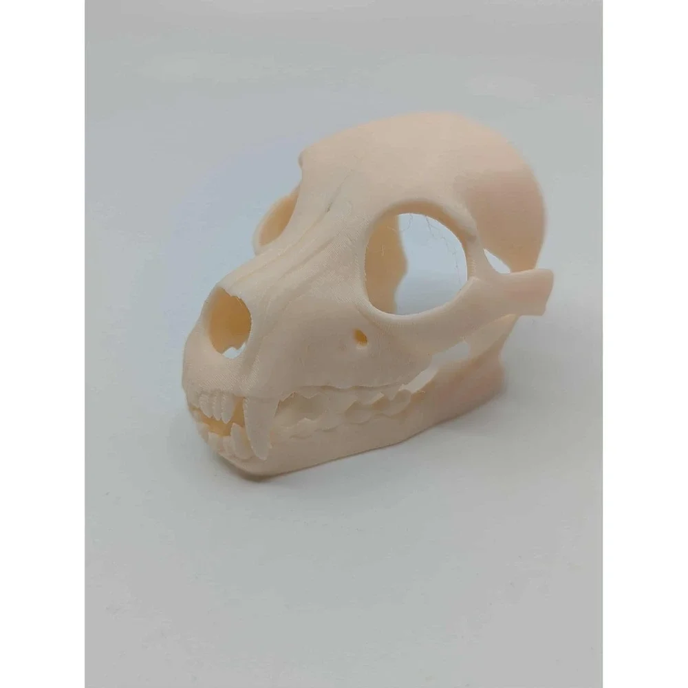 Dog Skull Hide, Reptile enrichment,‎ Tank Decor